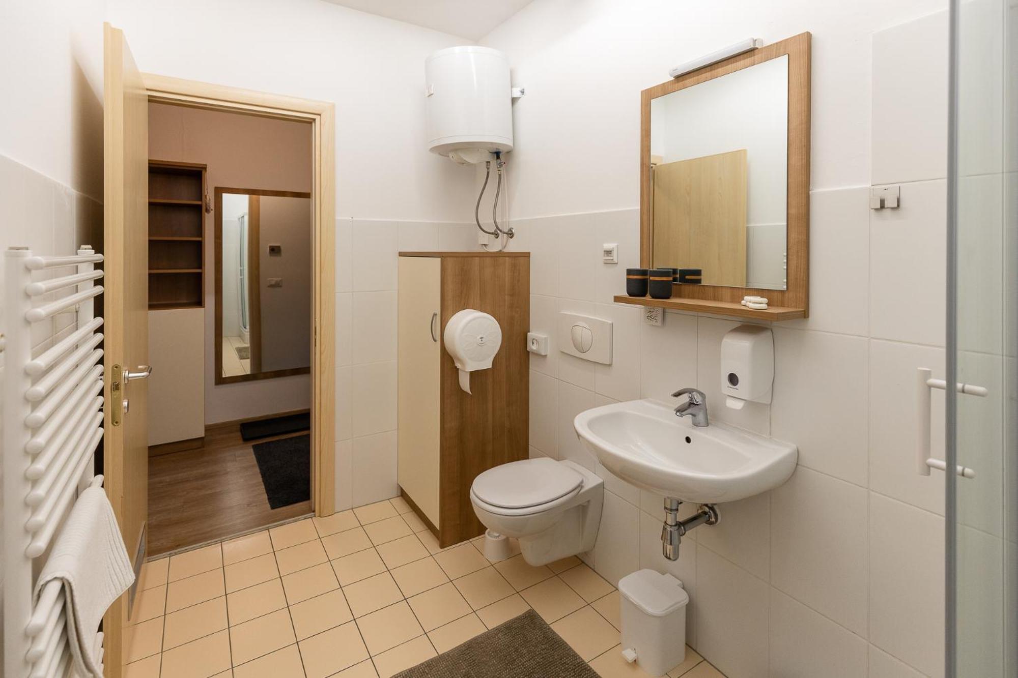 קרנייסקה גורה Apartma Planika מראה חיצוני תמונה